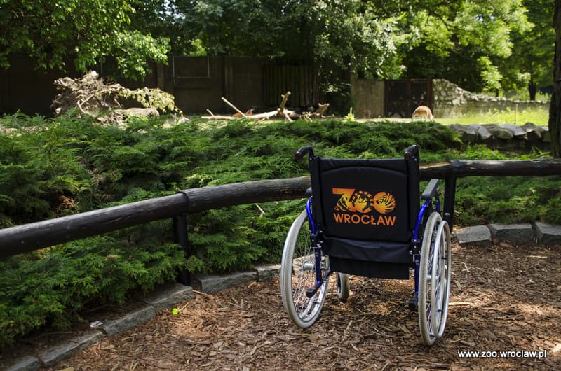 Wózek dla niepełnosprawnych Zoo Wrocław