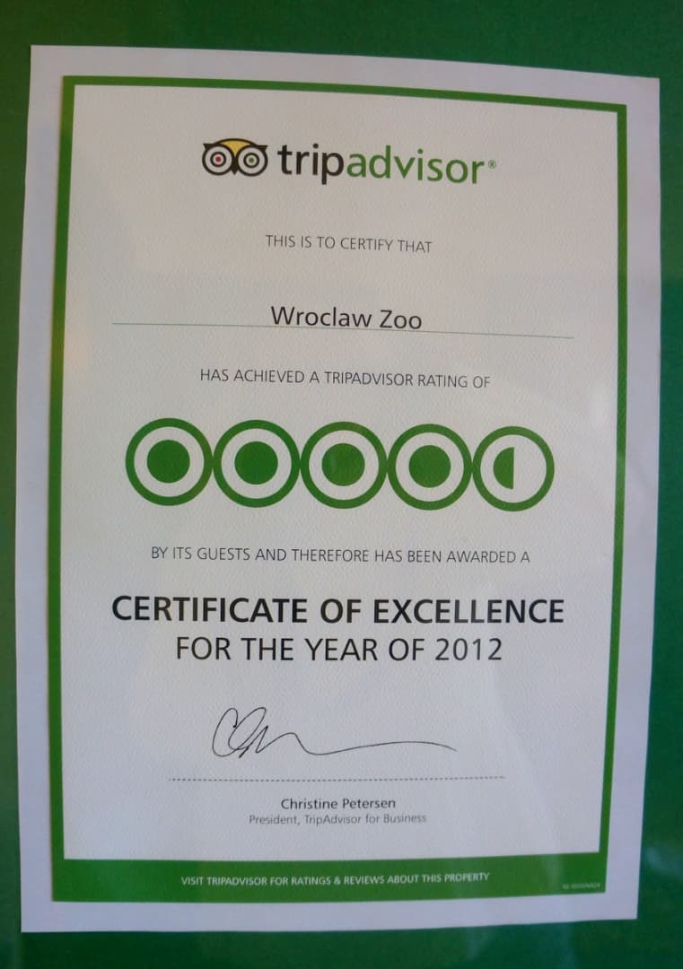 Certyfikat Tripadvisor 2011