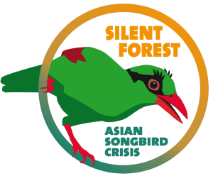 silent forestasian songbird crisis