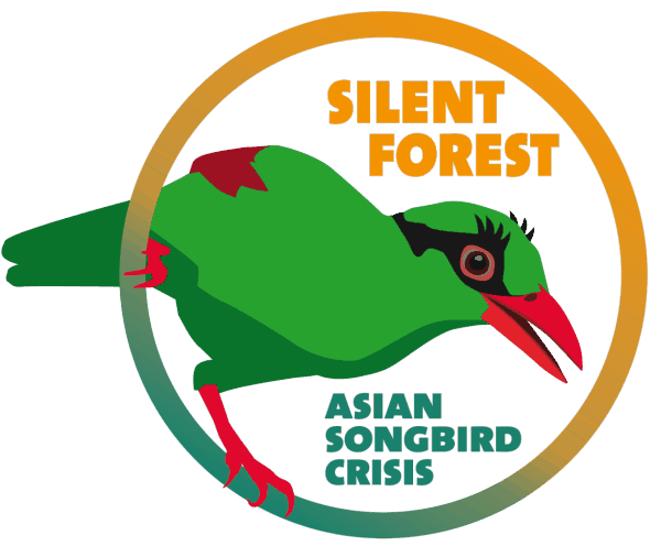 silent forestasian songbird crisis