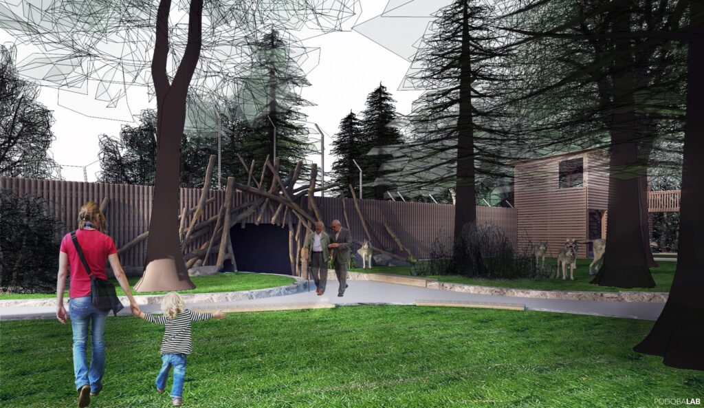 Projekt wybiegu wilka szarego w Zoo Wrocław