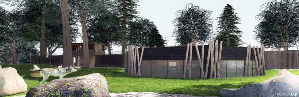 Projekt wybiegu wilka szarego w Zoo Wrocław