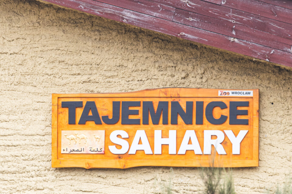 tajemnice sahary