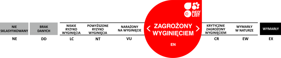 zagrożony wyginięciem