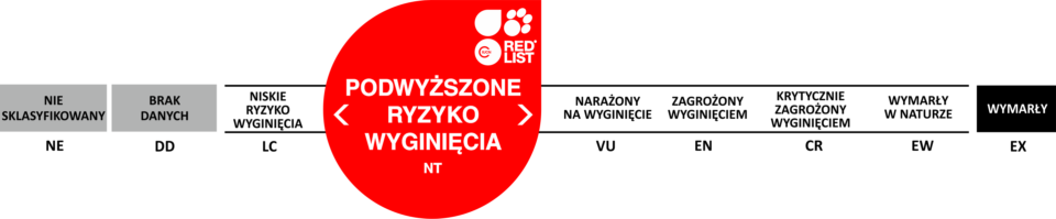 podwyższone ryzyko wyginięcia