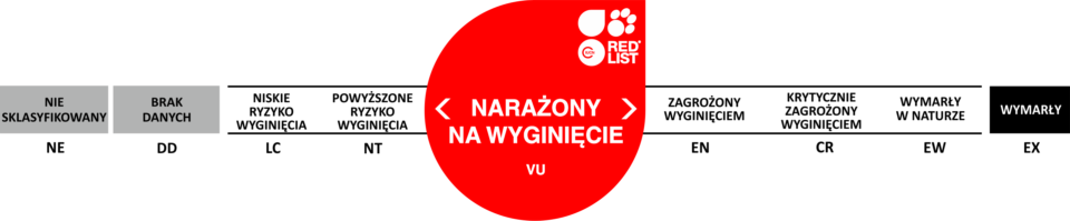 narażony na wyginięcie