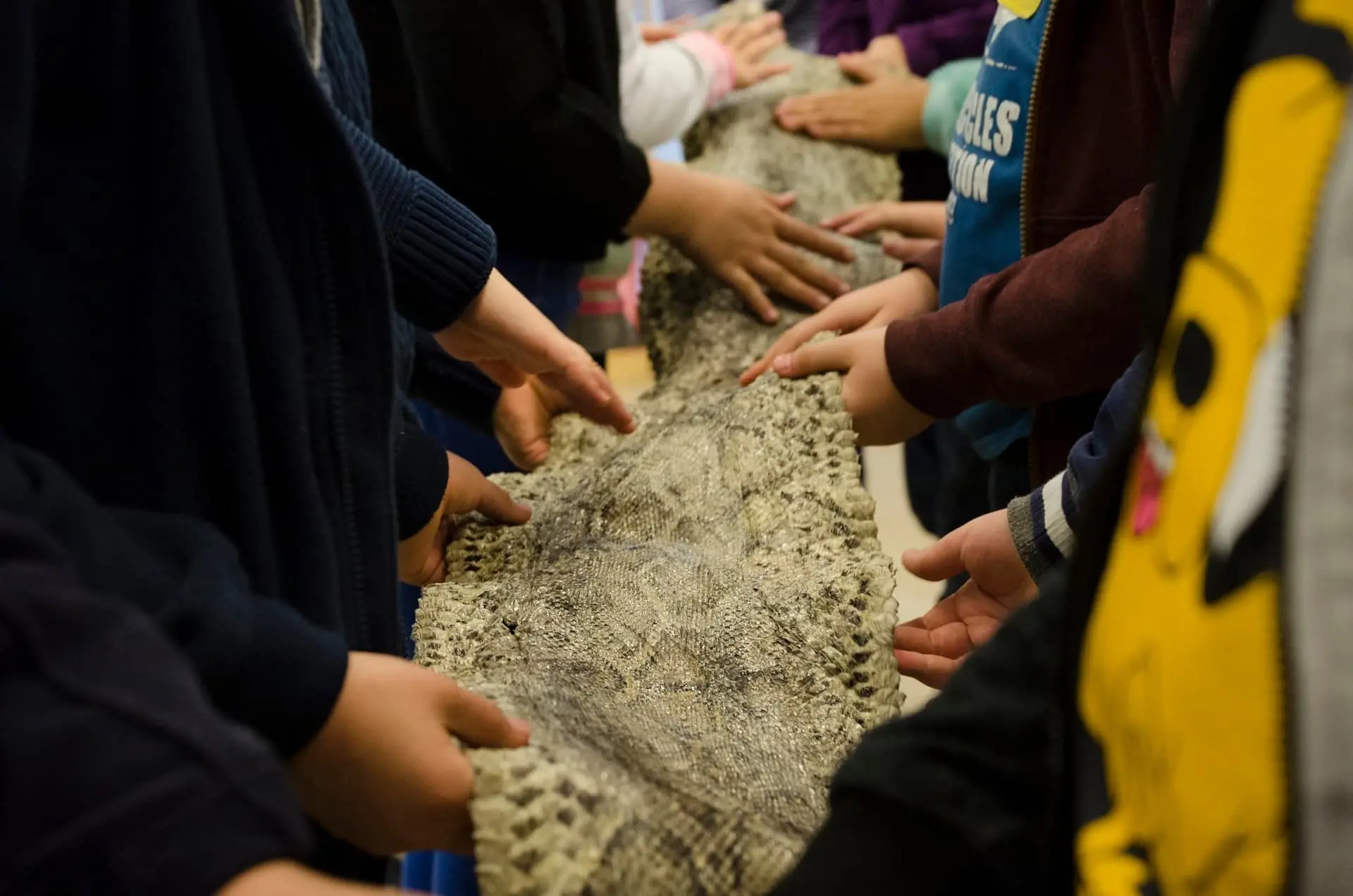 Zajęcia edukacyjne w Zoo Wrocław