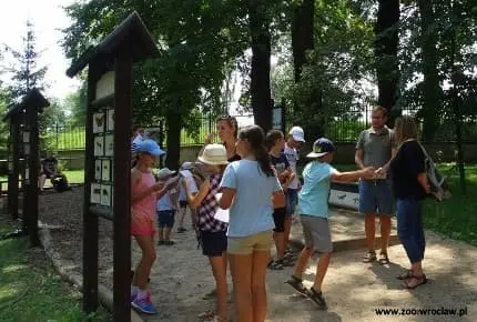 Gra terenowa w Zoo Wrocław