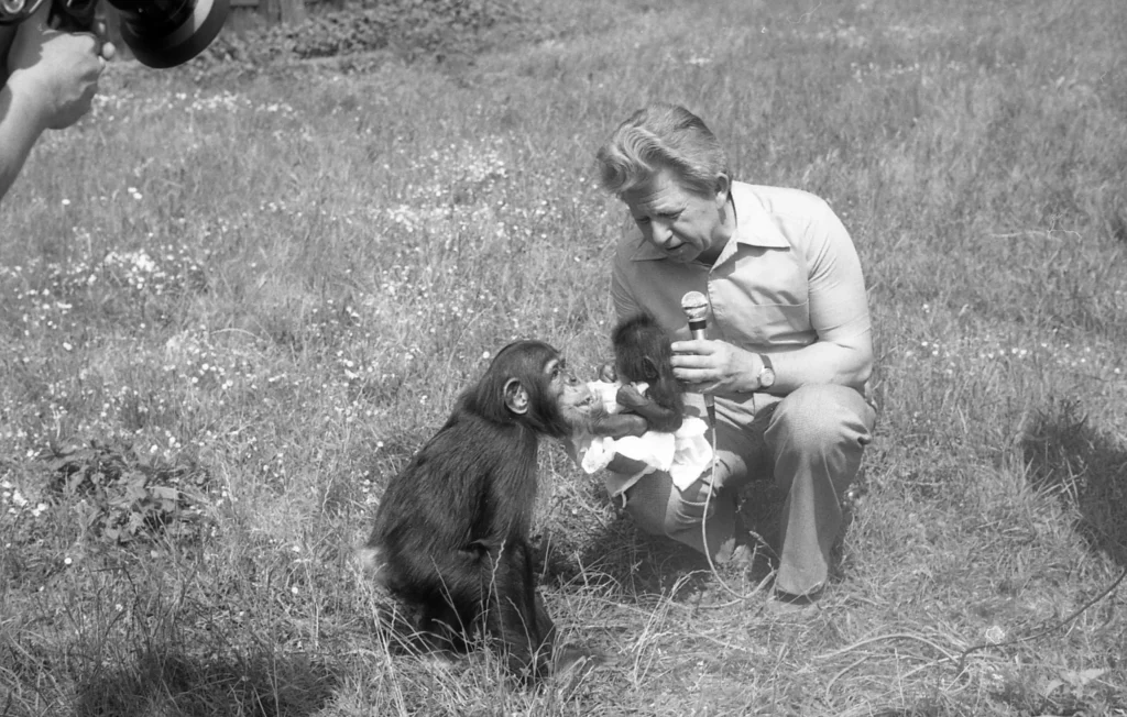 Antonii Gucwiński ZOO Wrocław