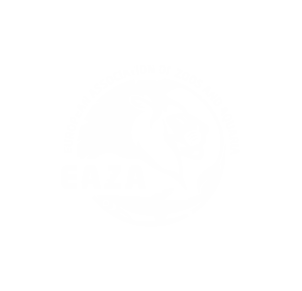 Logo Eaza