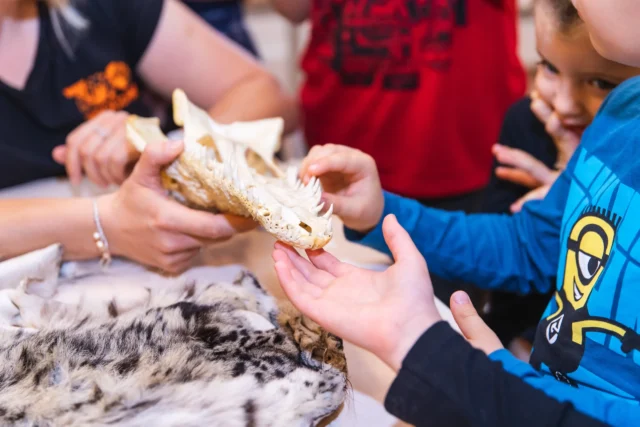 Materiały edukacyjne dla nauczycieli