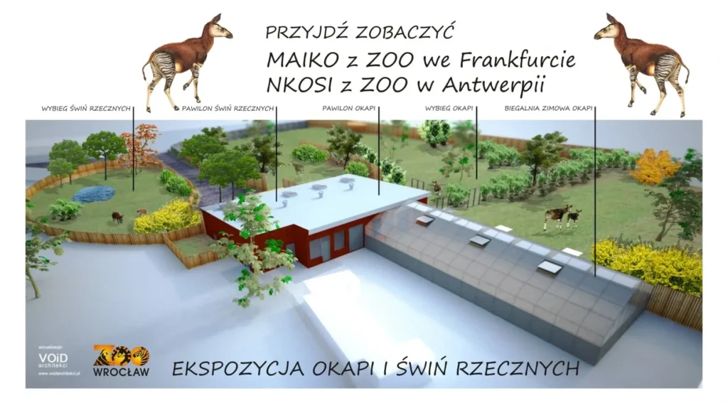 Wybieg dla okapi - projekt