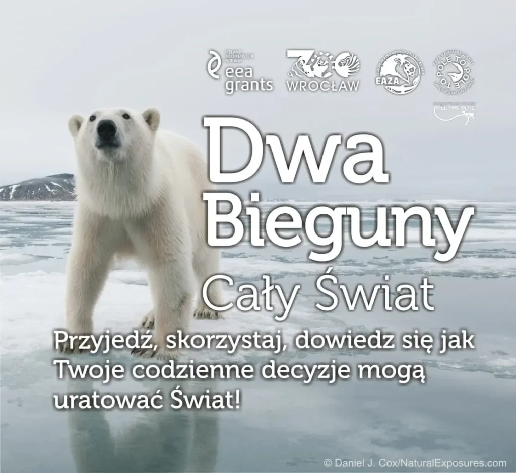 Dwa bieguny - zaproszenie