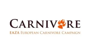 Carnivore Eaza European Carnivore Campaign