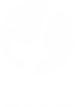 Logo Waza