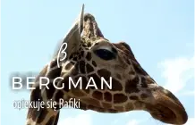 Bergman_Rafiki