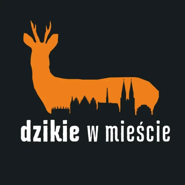 Dzikie w mieście