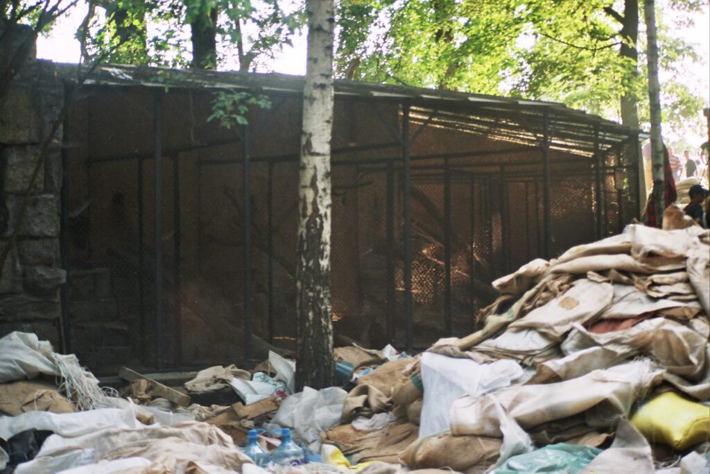 Powódź Tysiąclecia w zoo Wrocław. Fot. Mieczysław Michalak (19)