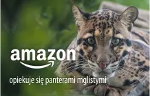 Amazon pantery mgliste