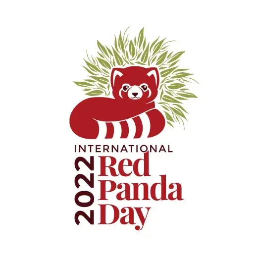 international red panda day