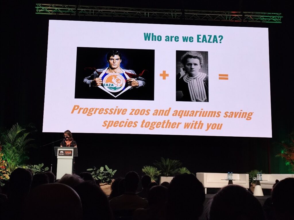 EAZA ŁÓDŹ