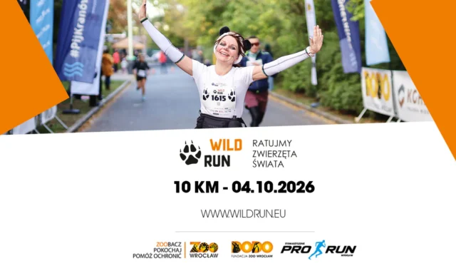 Wild Run 2026 zapisy