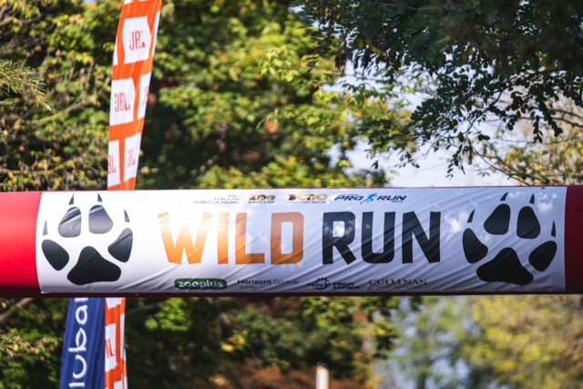 Wild Run 2026 w ZOO Wrocław – zdjęcie 1