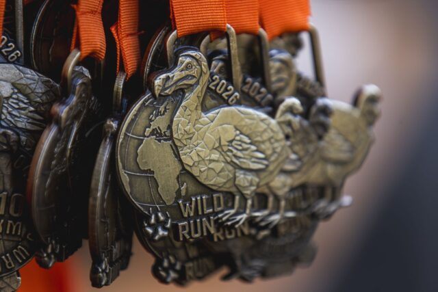 Wild Run 2026 w ZOO Wrocław – zdjęcie 2