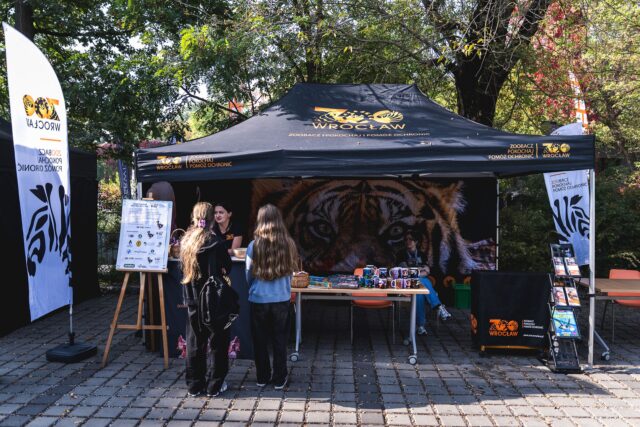 Wild Run 2026 w ZOO Wrocław – zdjęcie 16