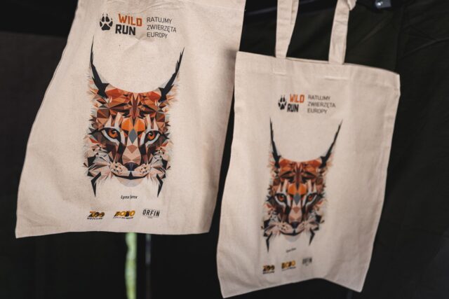 Wild Run 2026 w ZOO Wrocław – zdjęcie 17