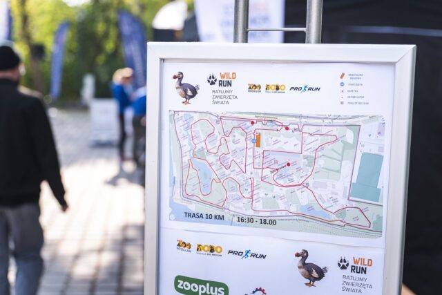Wild Run 2026 w ZOO Wrocław – zdjęcie 26