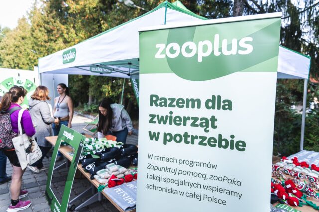 Wild Run 2026 w ZOO Wrocław – zdjęcie 28