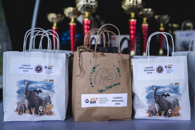 Wild Run 2026 w ZOO Wrocław – zdjęcie 31