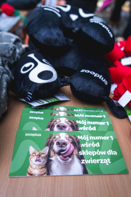 Wild Run 2026 w ZOO Wrocław – zdjęcie 35