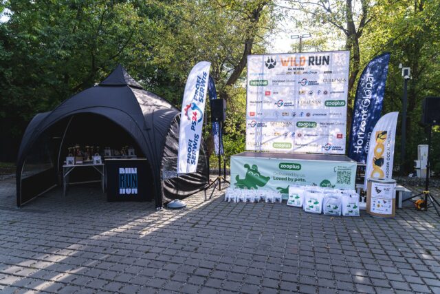 Wild Run 2026 w ZOO Wrocław – zdjęcie 37