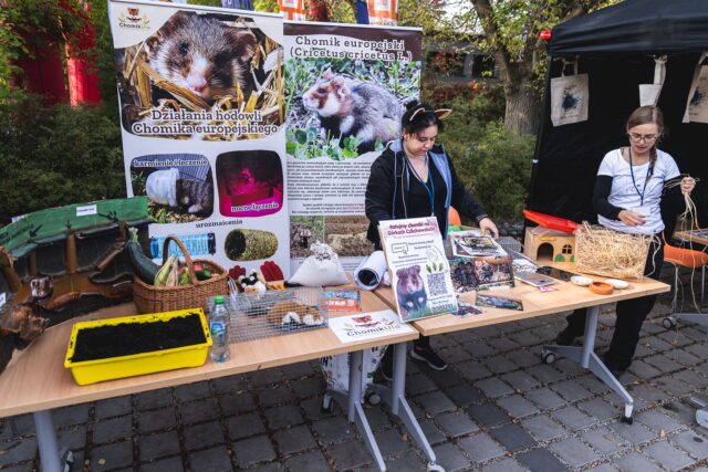 Wild Run 2026 w ZOO Wrocław – zdjęcie 39