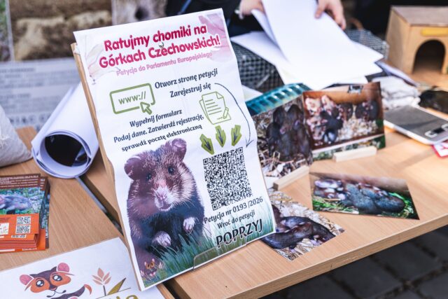 Wild Run 2026 w ZOO Wrocław – zdjęcie 41
