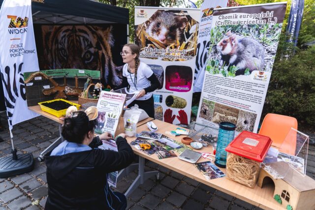 Wild Run 2026 w ZOO Wrocław – zdjęcie 42