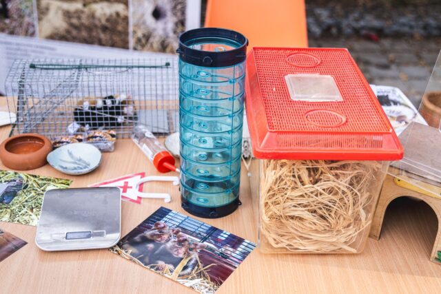 Wild Run 2026 w ZOO Wrocław – zdjęcie 43