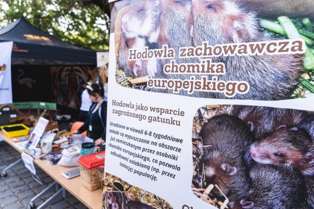 Wild Run 2026 w ZOO Wrocław – zdjęcie 51