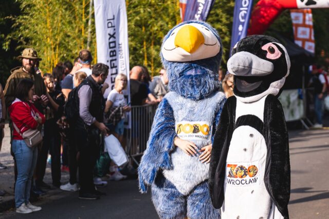 Wild Run 2026 w ZOO Wrocław – zdjęcie 92