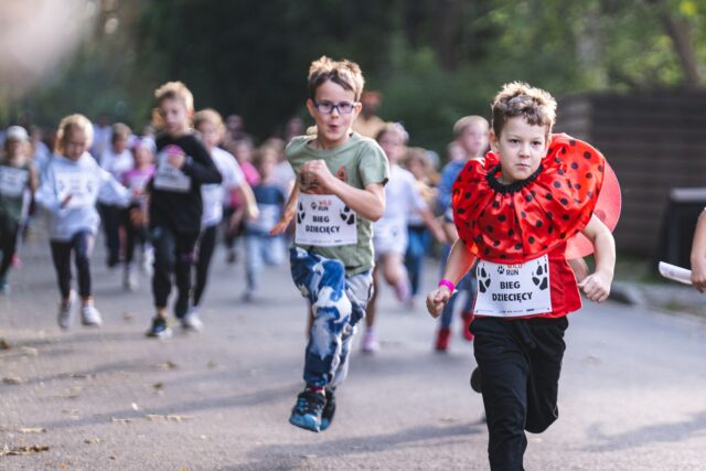 Wild Run 2026 w ZOO Wrocław – zdjęcie 98