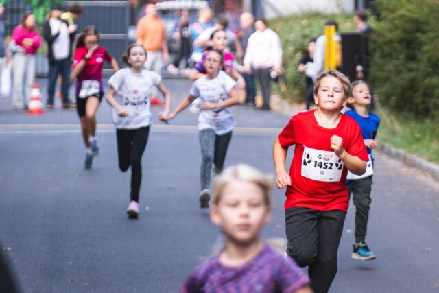 Wild Run 2026 w ZOO Wrocław – zdjęcie 120