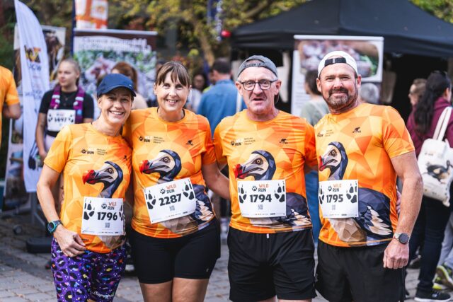Wild Run 2026 w ZOO Wrocław – zdjęcie 126