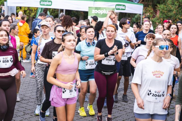 Wild Run 2026 w ZOO Wrocław – zdjęcie 148