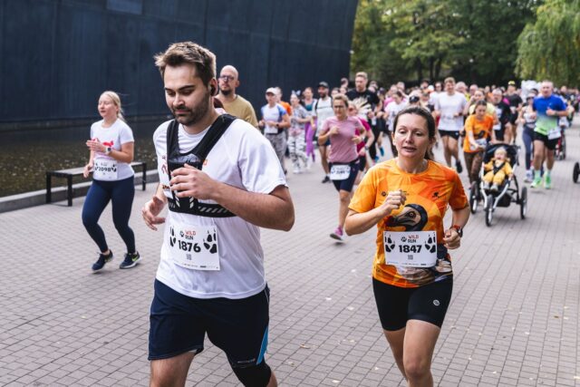 Wild Run 2026 w ZOO Wrocław – zdjęcie 170
