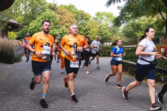 Wild Run 2026 w ZOO Wrocław – zdjęcie 175
