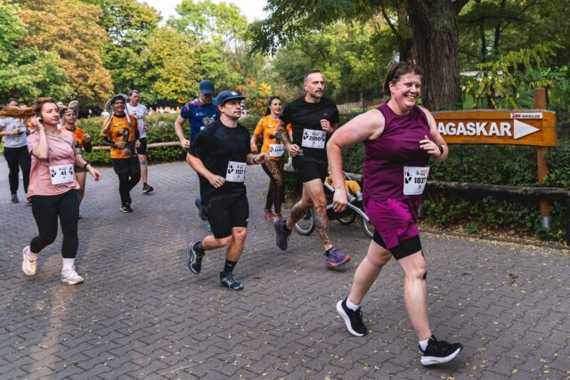 Wild Run 2026 w ZOO Wrocław – zdjęcie 177