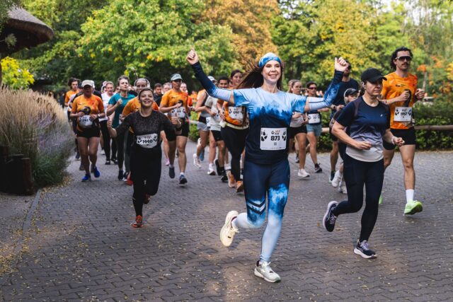 Wild Run 2026 w ZOO Wrocław – zdjęcie 179