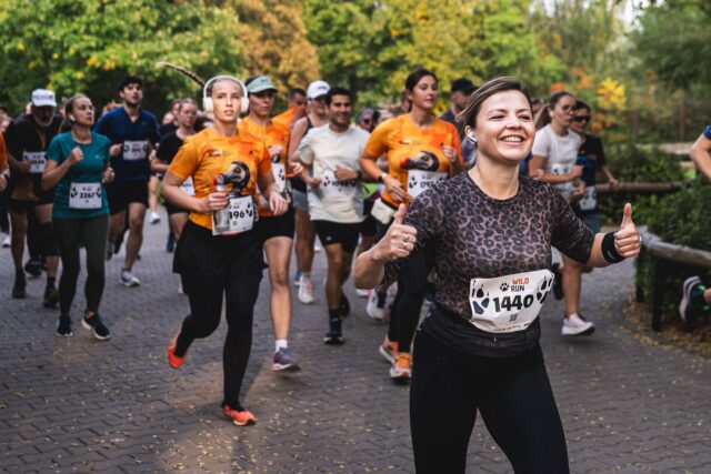 Wild Run 2026 w ZOO Wrocław – zdjęcie 180